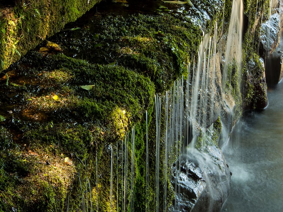 waterfalls, mossy rocks, japan, water sources, kumamoto, spring water, roar water source, plant, water, beauty in nature