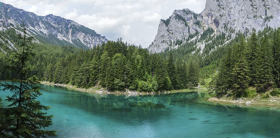 lake, water, mirroring, green lake, tragöss, upper styria, mountain, beauty in nature, scenics - nature, tree