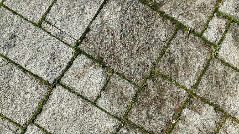 floor, texture, moss, soil, stone, paving stones, street, pavement, cobble, full frame