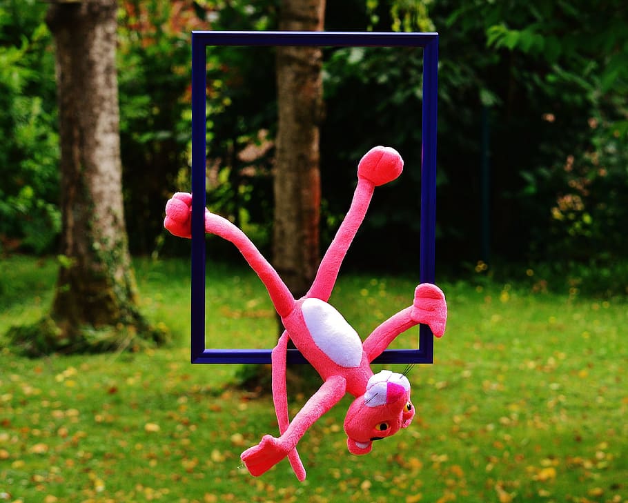 out of the ordinary, the pink panther, funny, anders, unusual, untypical, picture frame, cute, sweet, plush