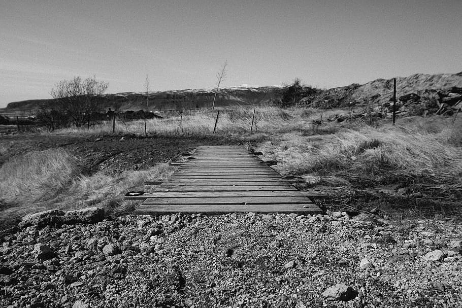 fotografía en escala de grises, marrón, de madera, puente, rodeado, pastos, escala de grises, foto, madera, rocas
