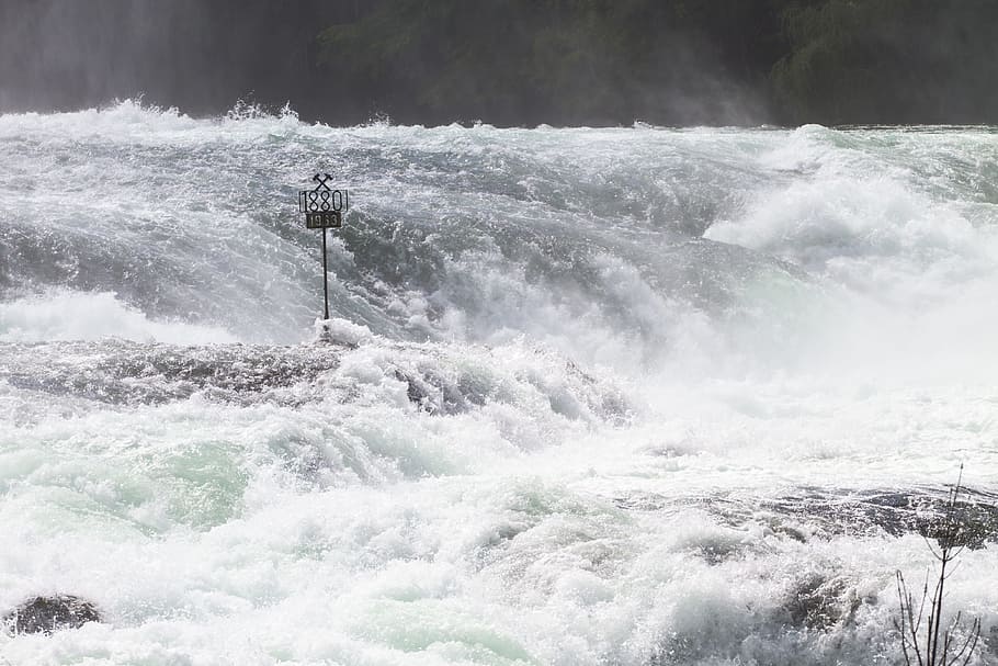 rhine falls, rhine, waterfall, river, water mass, foaming, roaring, enormous, murmur, rapids