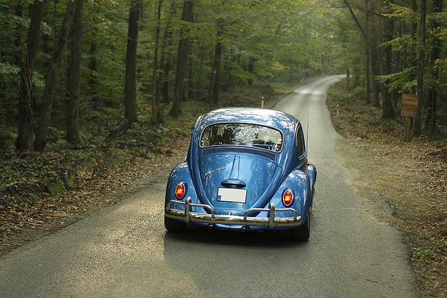 Volkswagen, vintage, coche, transporte, viajes, aventura, antiguo, óxido, revistas, árboles