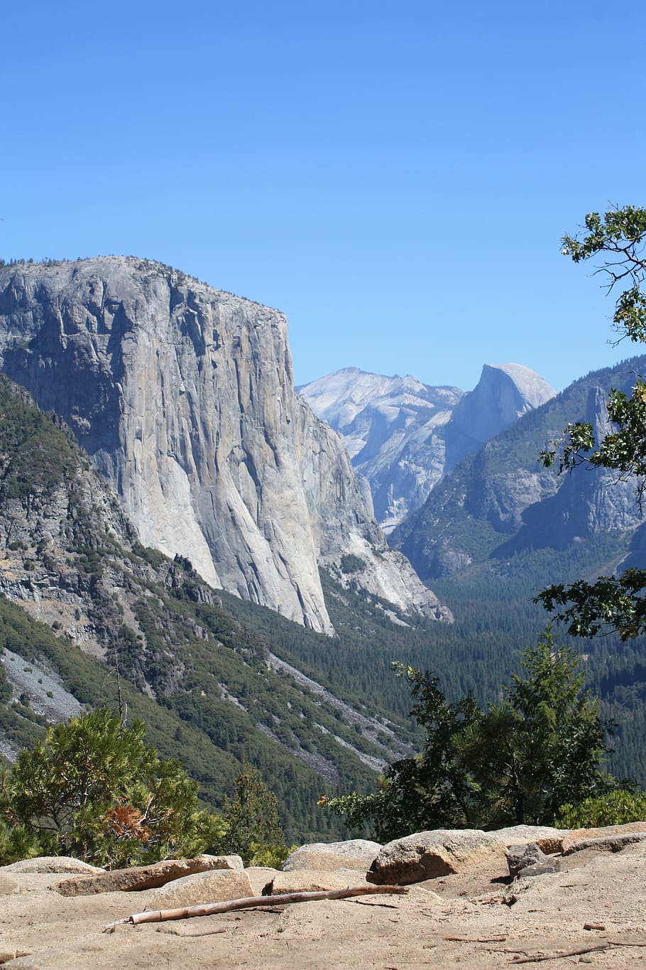 yosemite, national, park, california, landscape, nature, mountains, mountain, beauty in nature, scenics - nature