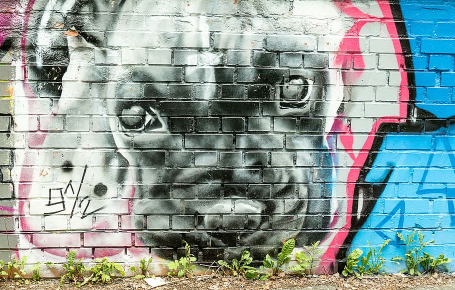 犬, 壁画, アーティスト, グラフィティ, アート, 絵画, 壁, wandmgrafitti, 塗装, grafittikunst