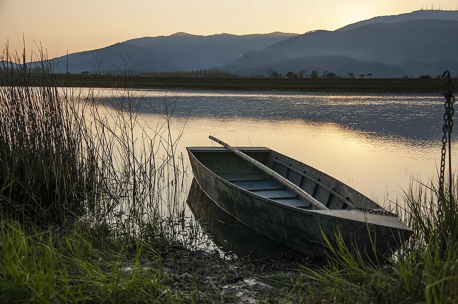 marrón, muelle de canoa, verde, campo de hierba, durante el día, puesta de sol, barco, reflexiones, lago, agua