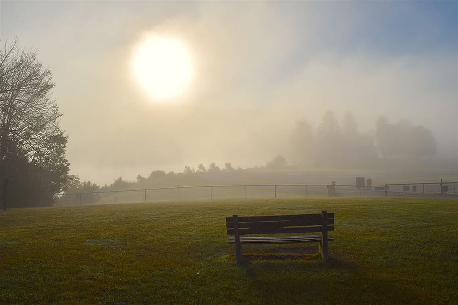 sunrise, fog, field, bench, park, misty, nature, landscape, morning, mist