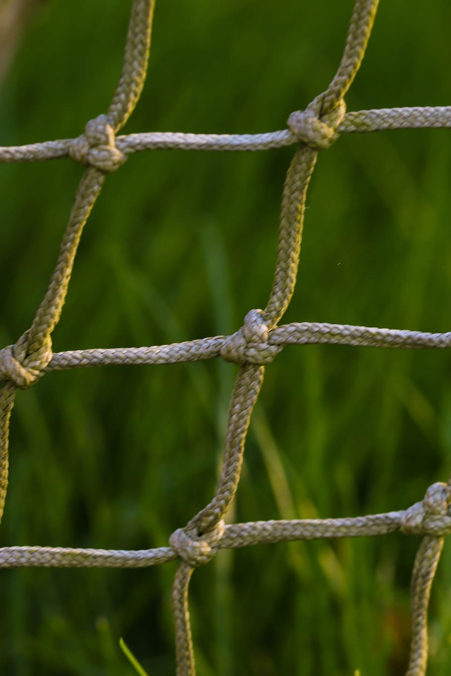 net, soccer goal, grass, sport, security, close-up, safety, protection, fence, metal