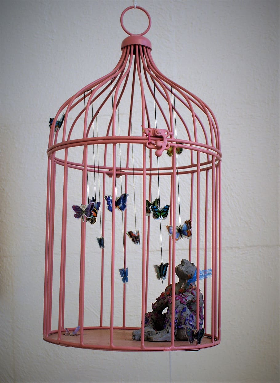 cage, art, sculpture, sound, imprisoned, butterfly, caught, plastic, hanging, wall - building feature