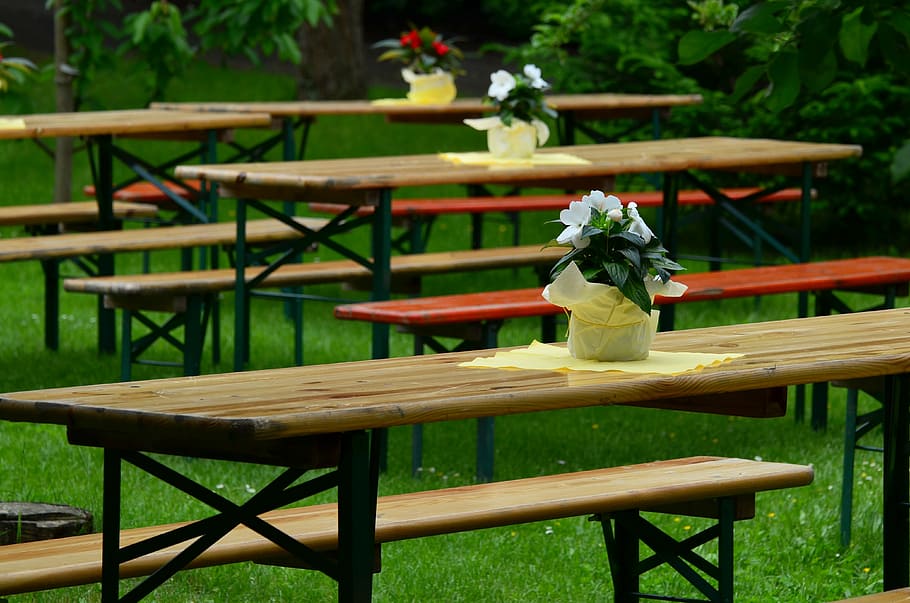 brown, wooden, picnic tables, green, leaf plants, daytime, beer tent set, benches, dining tables, bank