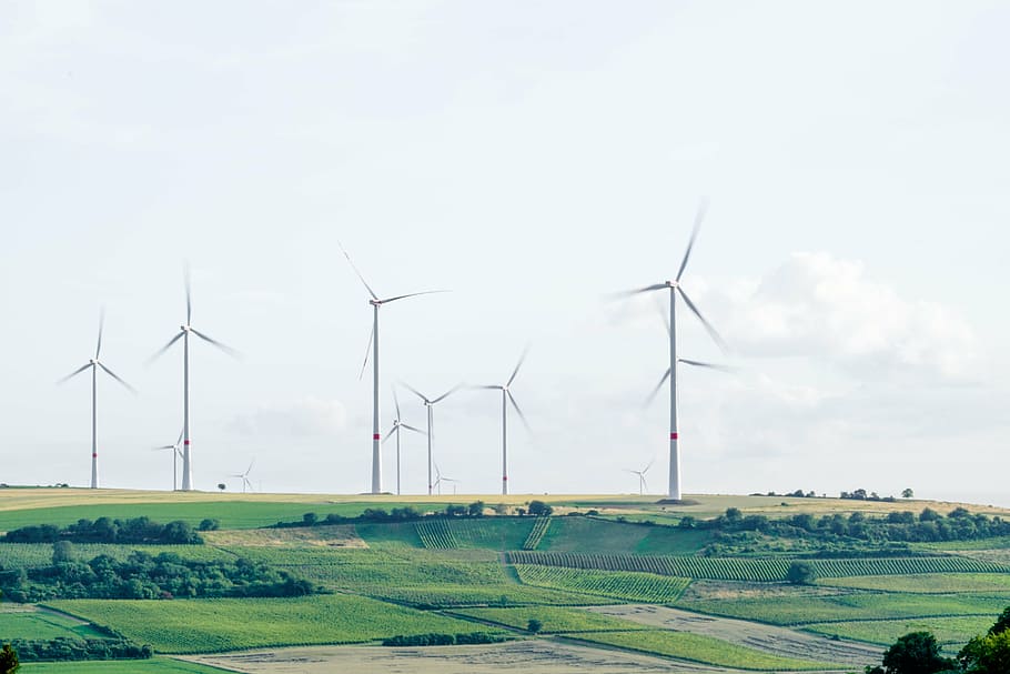 turbinas eólicas ligadas, campo de grama, foto, branco, vento, turbinas, moinho de vento, estrutura, campo, fazenda