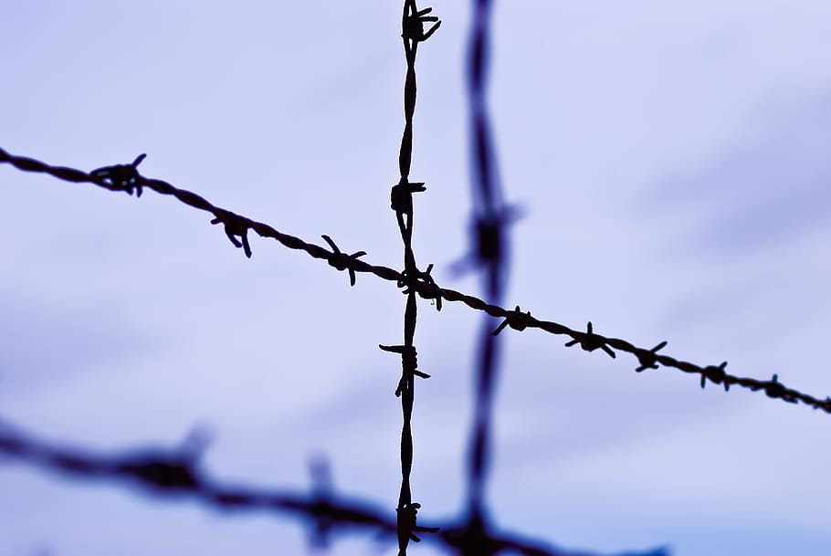 selective, focus photography, cross, barbed, wire, daytime, Kz Dachau, Konzentrationslager, kz, hitler era