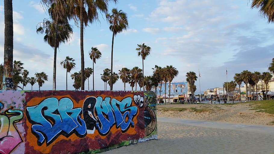 venice beach, beach, graffiti, venice, california, travel, los, angeles, summer, palm