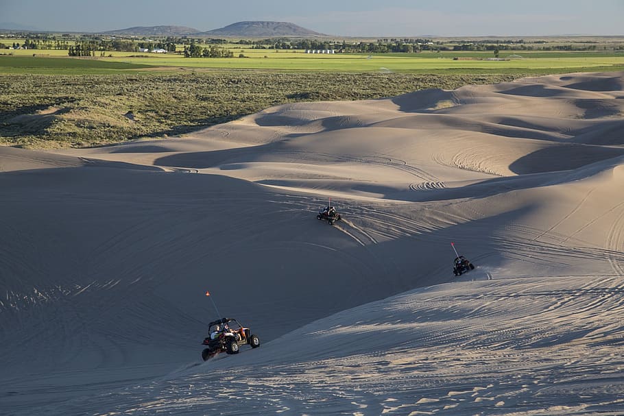 sand dunes, landscape, dune buggies, recreation, outdoors, desert, fun, vehicles, environment, mountain