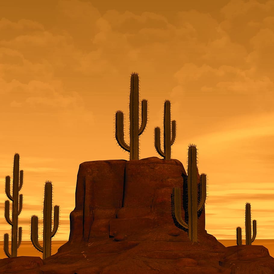 monument valley, utah, desert, rock, cactus, sand, nature, arizona, sedona, landscape, dry