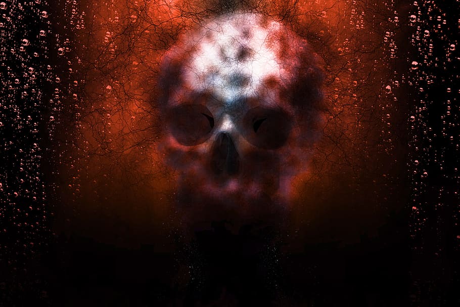 white, red, skull, digital, wallpaper, horror, halloween, death, dead, head