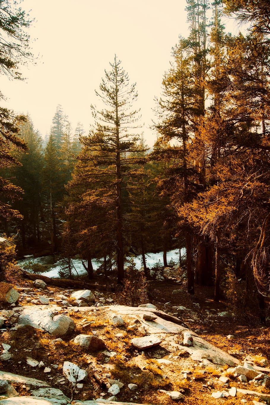 yosemite, national park, california, landscape, tourism, nature, outdoors, snow, fall, autumn