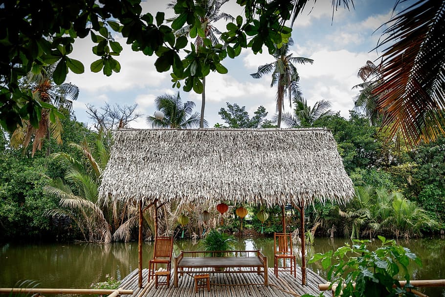Techo de paja, cabañas, lago, bambú, clima tropical, naturaleza, palmera, agua, vacaciones, complejo turístico