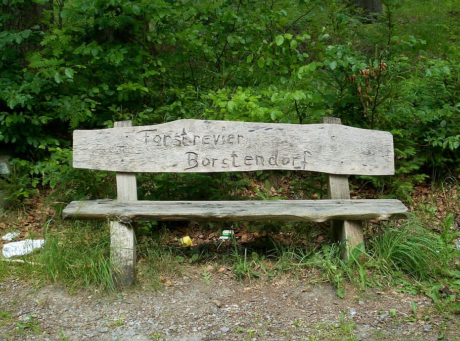 bench, wood, inscription, nature, bank, seat, rest, plant, communication, text