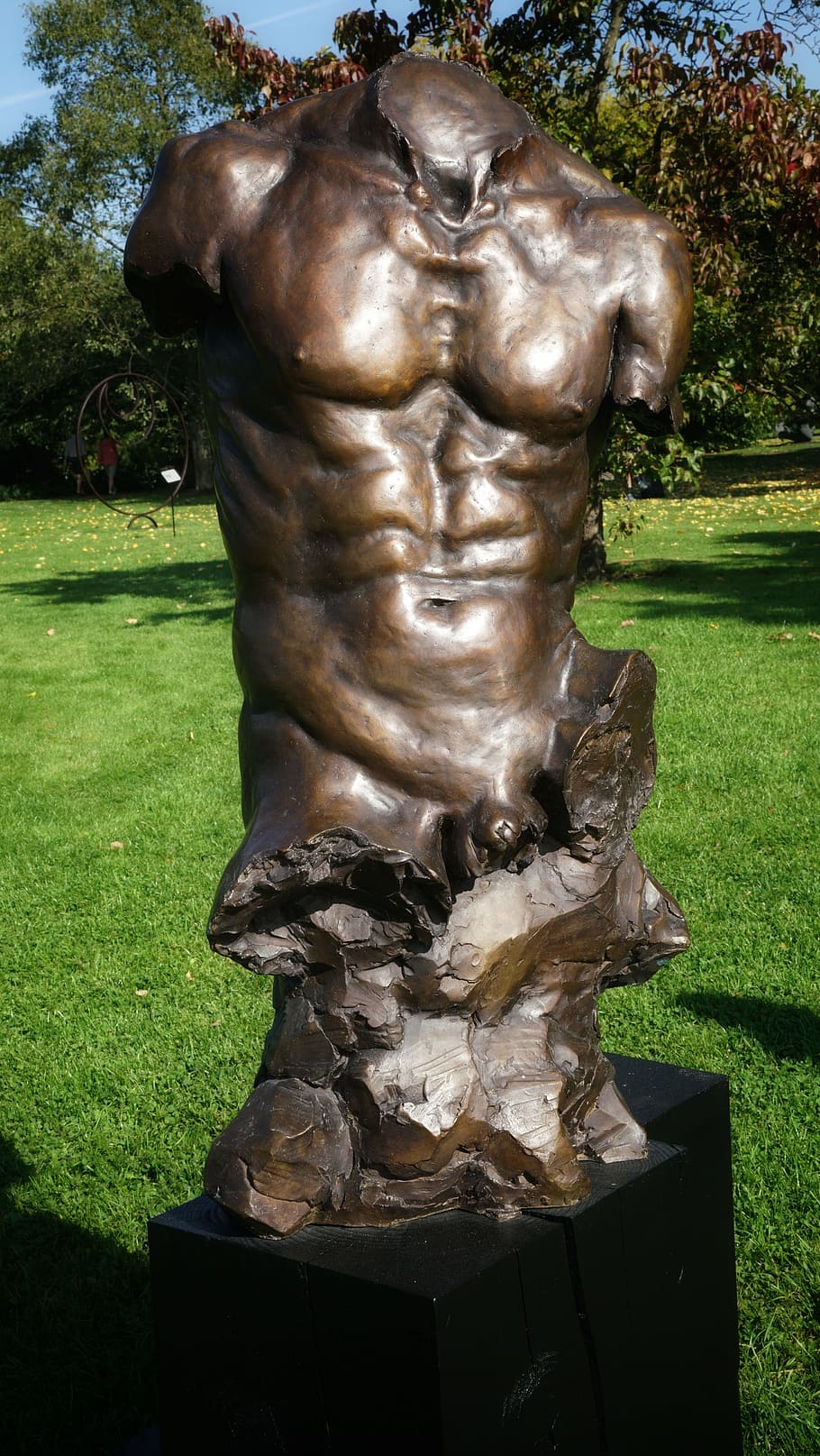 male, man, torso, art, sculpture, bronze, kew gardens, london, grass, statue