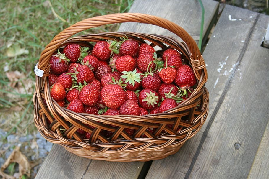 summer, strawberries, basket, picnic basket, fruit, food and drink, high angle view, whicker, healthy eating, freshness