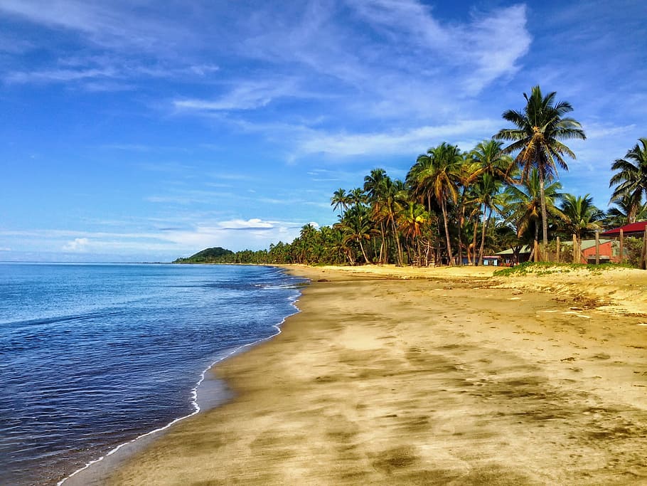 green, palm tree, body water, fiji, beach, sand, palm trees, tropics, sky, clouds