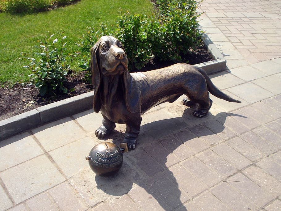 kostroma, dog, sculpture, charity, bronze, dachshund, monument, animal, one animal, mammal