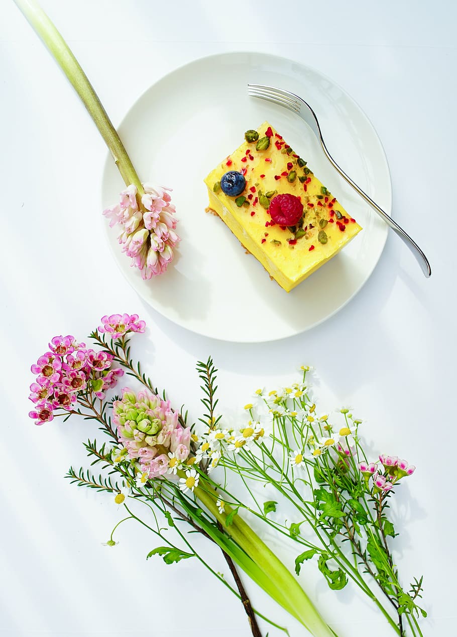 cake, serve, white, ceramic, saucer, colorful, flower, plant, nature, display
