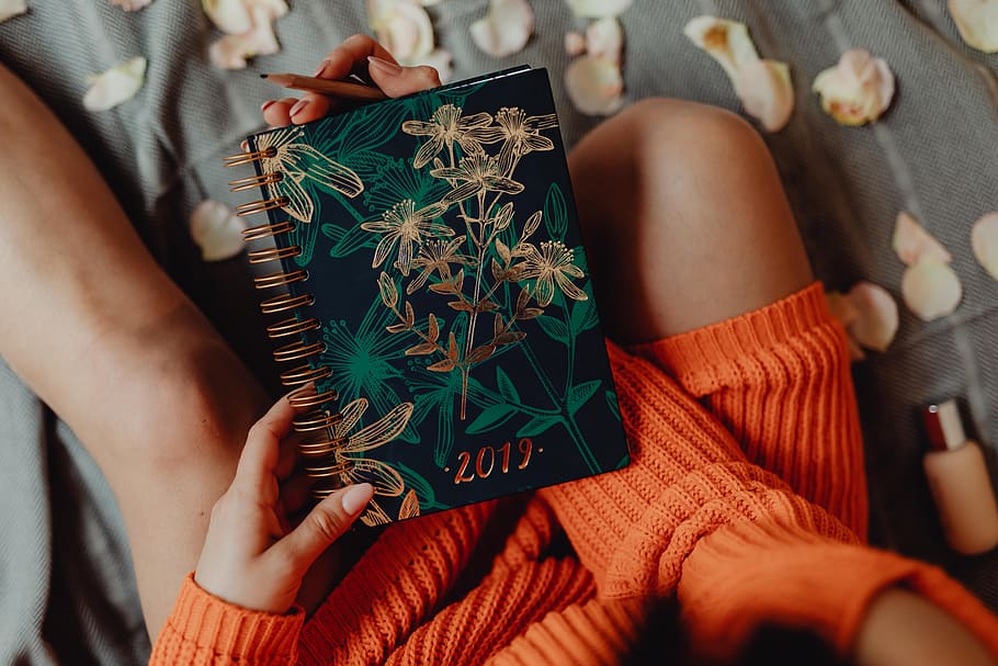 calendario, cuaderno, mujer, 2019, naranja, organizador, suéter, agarraderas, manos, personas reales