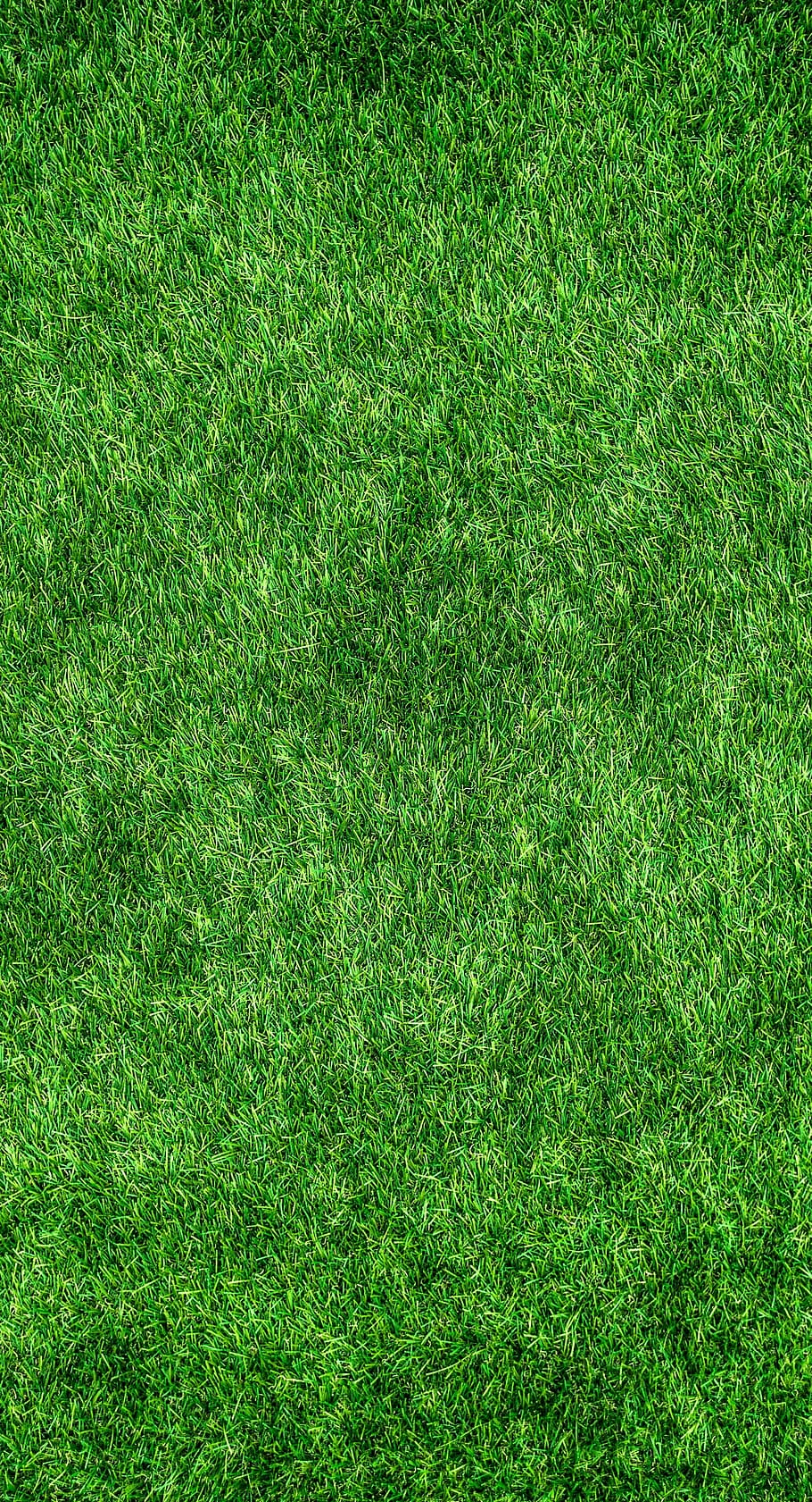 зеленая трава, природа, зеленый, абстрактный, растения, трава, искусственный газон, стадный, текстура, фон