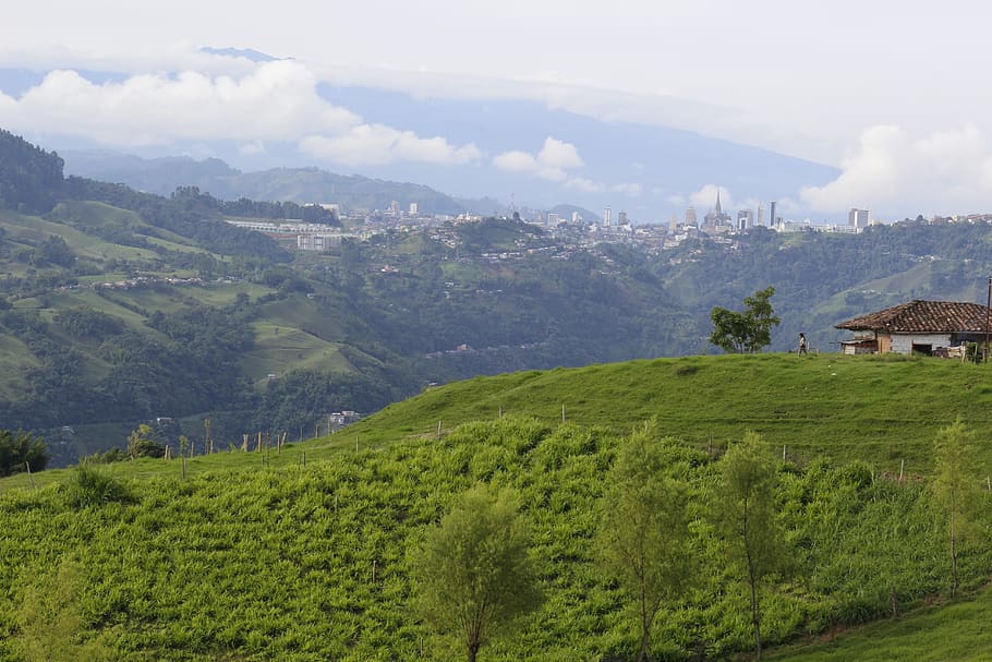 manizales, colombia, coffee, caldas, nature, tropical, nevado, cold, colorful, landscape