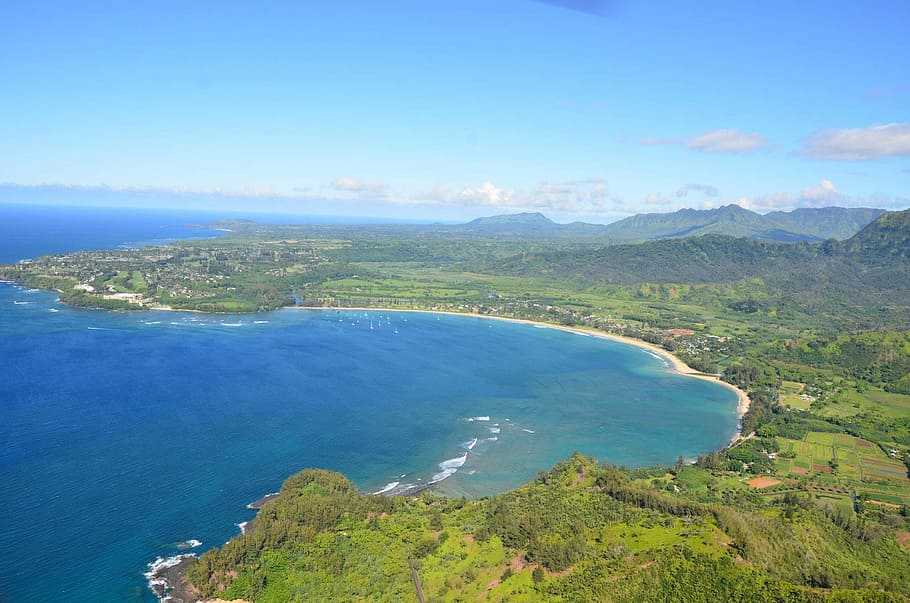 Beach, Hanalei, Hawaii, hawaii, hanalei, hawaii beach, vacation, travel, ocean, summer, outdoor