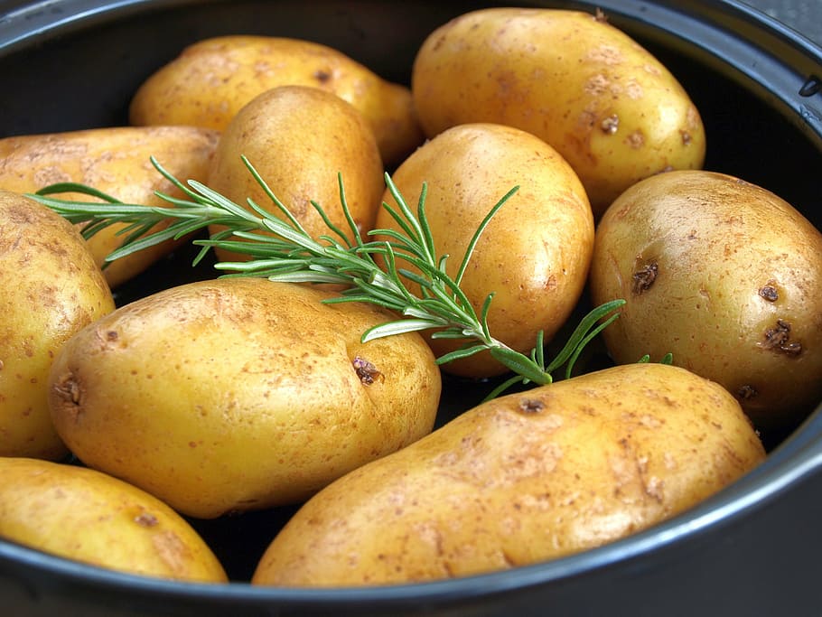 batatas, alecrim, batatas grelhadas, comida e bebida, comida, alimentação saudável, frescura, bem estar, batata, vegetal