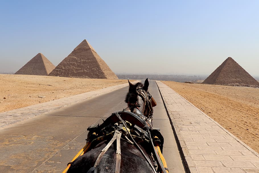 cairo, pyramid, horse, egypt, sphinx, pyramids, giza, egyptian, desert, ancient