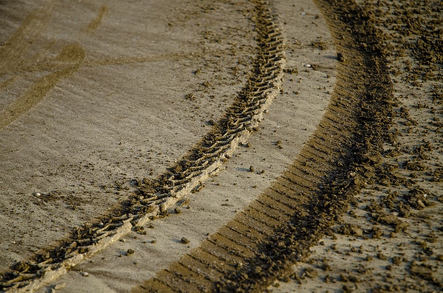 marks, tyre marks, sand, tracks, dirt, animal, animal themes, one animal, high angle view, animal wildlife