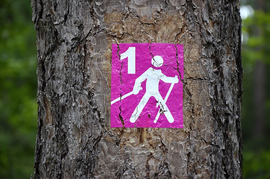pink, ski sign, tree, hiking, nordic walking, running track, run, pictogram, nature, go