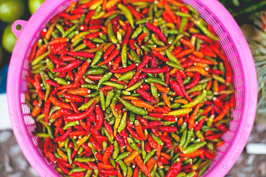 cesta de chilis, cesta, chilis, pimentão, verde, quente, ingrediente, ingredientes, jalapeno, pimenta