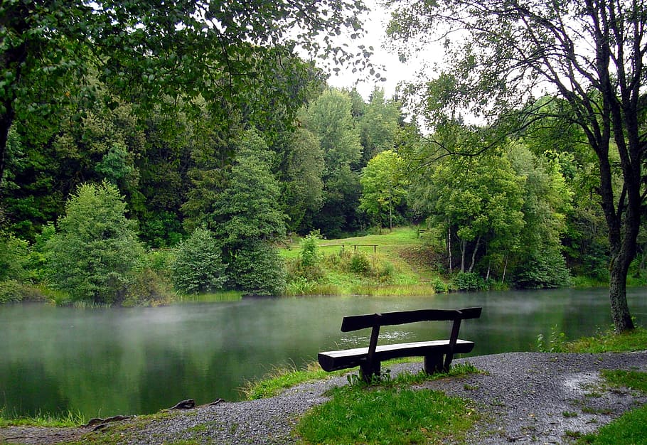 brown, wooden, bench, front, river, wooden bench, nature, lake, bank, hochrhoen