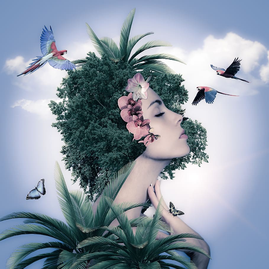 mujer, cara, naturaleza, belleza, composición, árboles, verde, pájaros, cielo, flor