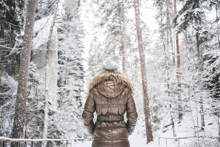 niña, chaqueta de invierno, Chica en invierno, Chaqueta, Caminando, Nevado, Bosque, frío, moda, naturaleza