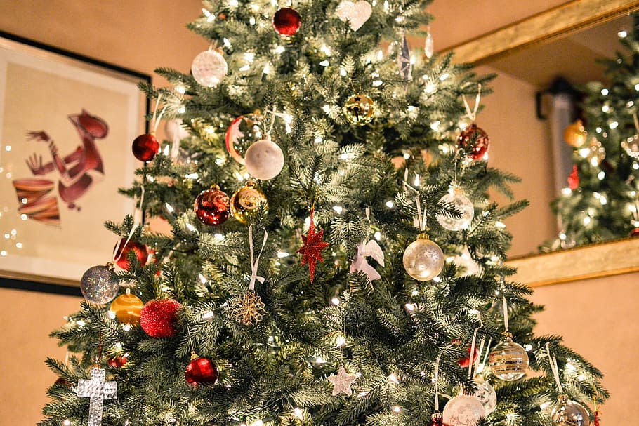緑, クリスマスツリーの写真, クリスマスツリー, ライト, クリスマス, ツリー, 装飾, 装飾品, 松, 飾る