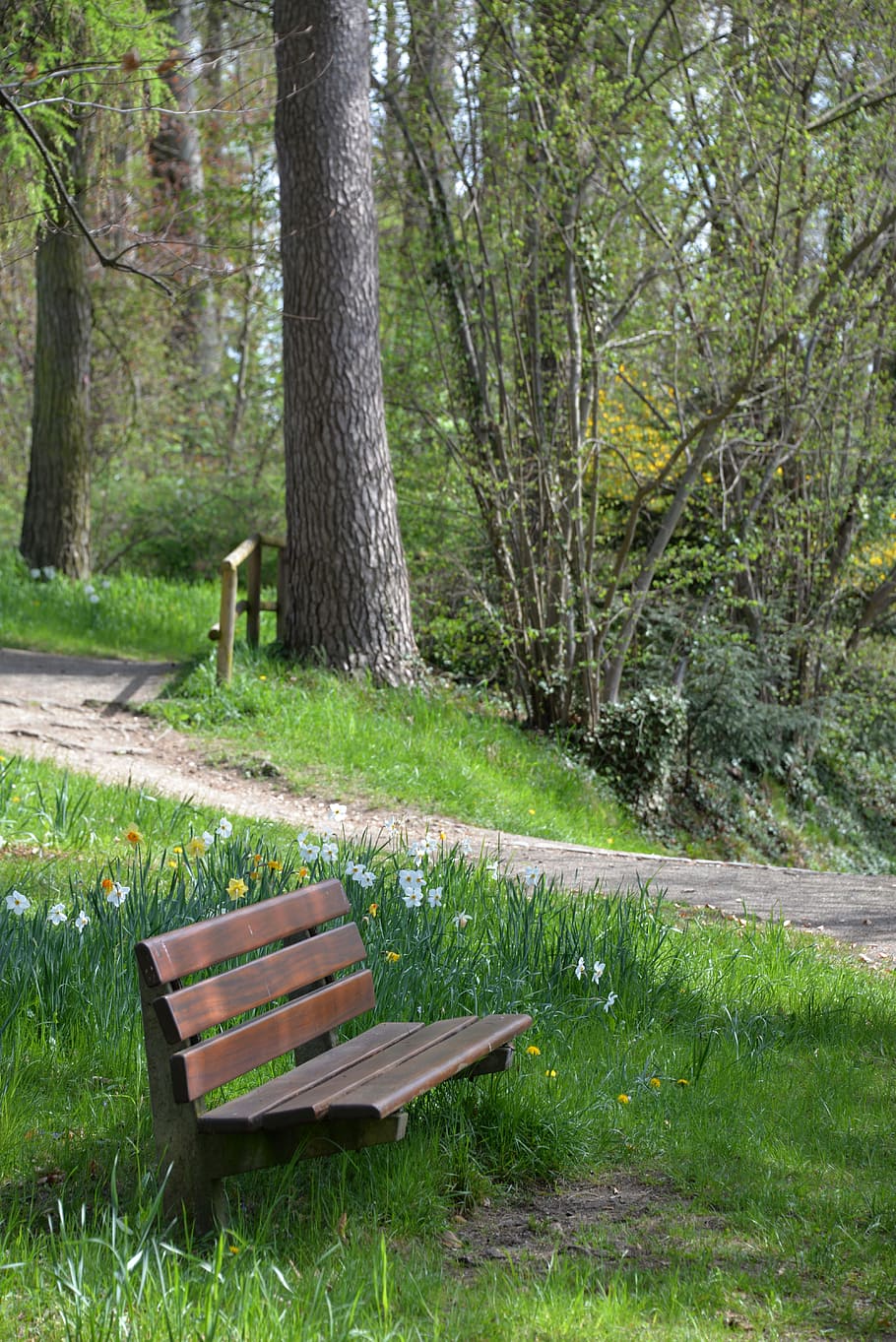 bank, park bench, garden, garden bench, rest, recovery, forest, seat, sit, trees