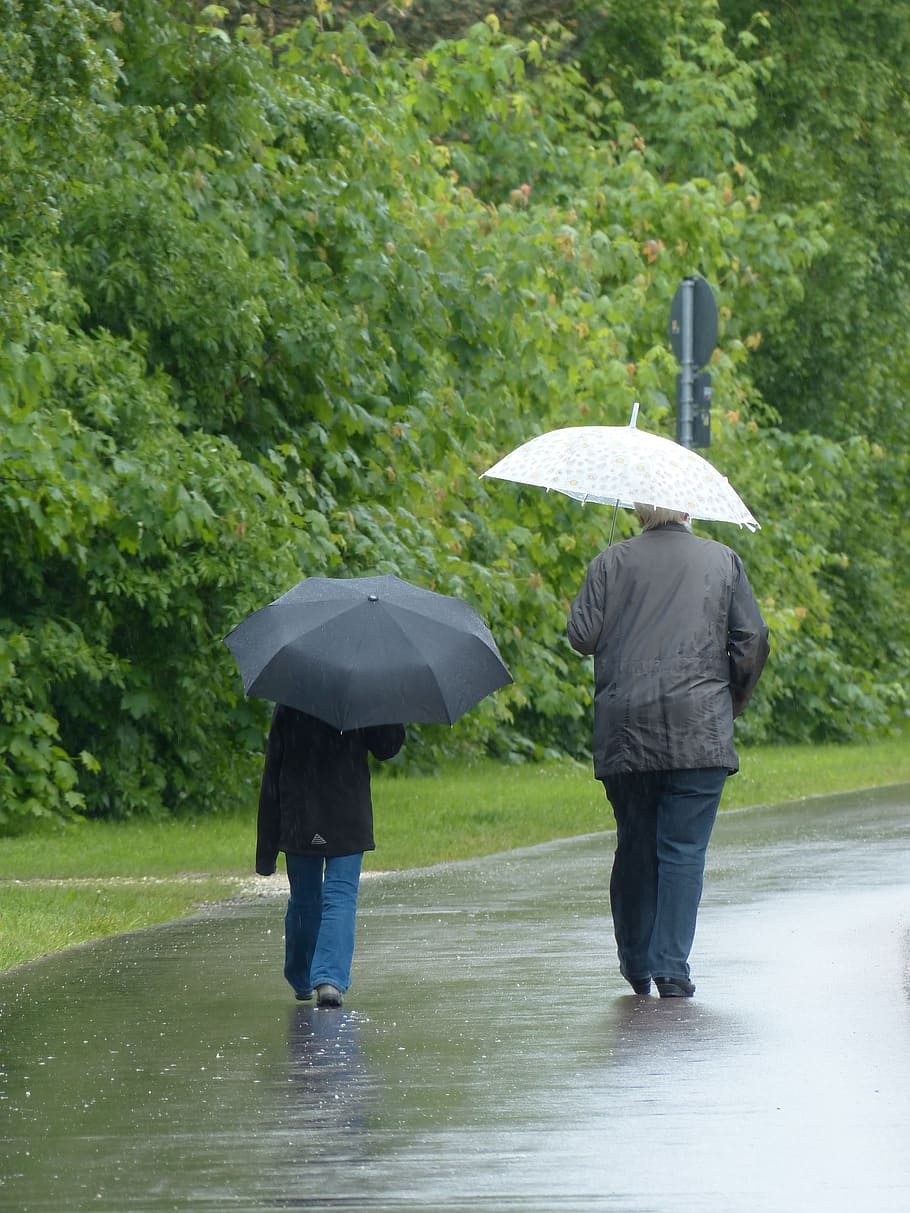 Rainy, Weather, Horrible, Walk, Wet, rainy weather, rain, trueb, precipitate, umbrella