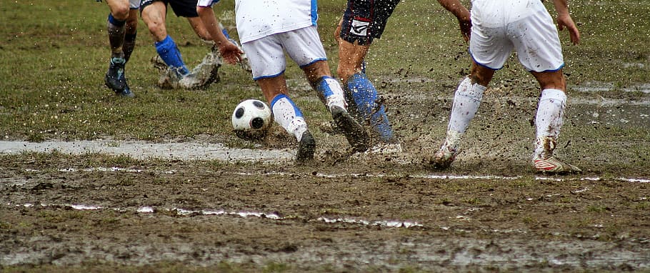 people playing football, soccer, football, feet, sport, ball, field, player, grass, training