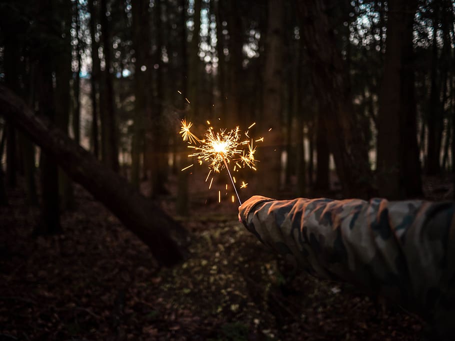spark, people, fire, light, trees, nature, hand, forest, woods, motion