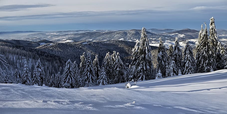 winter, mountains, landscape, panorama, snow, hot, poland, turbacz, forest, cold