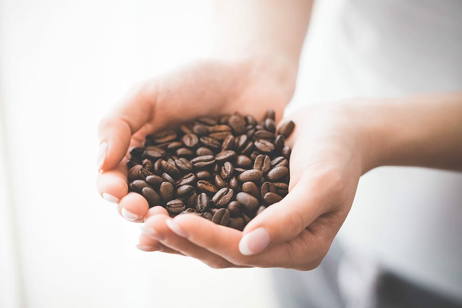 handful, roasted, Woman, Holding, Roasted Coffee, Coffee Beans, beans, brown, cafe, caffeine