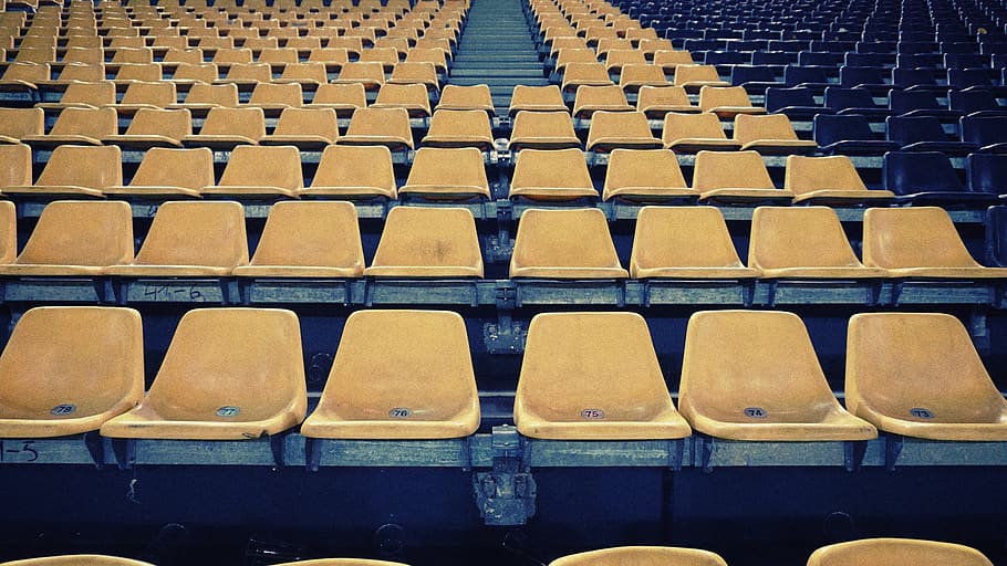 deporte, lugar, sillas, gimnasio, estadio, asiento, en una fila, silla, uno al lado del otro, vacío