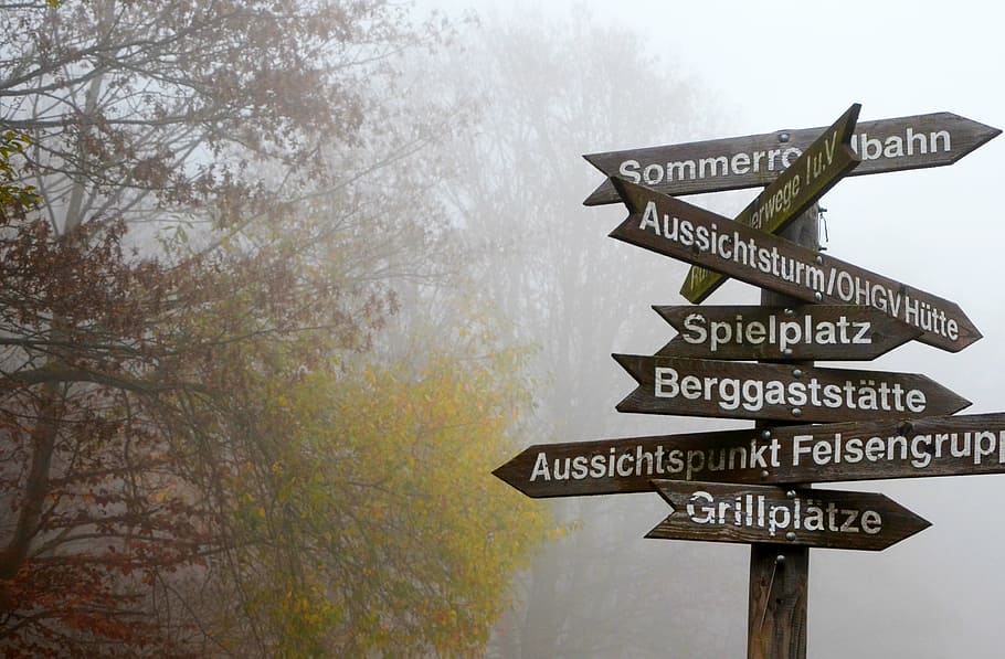 brown, wooden, signage, middle, foggy, f orest, fog, directory, decisions, away