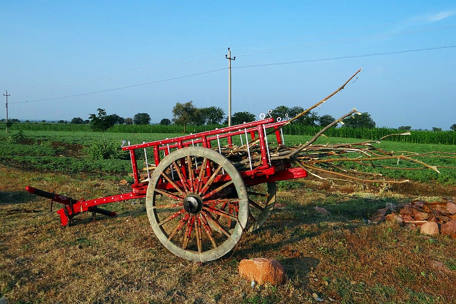 cart, colorful, farm utility, ilkal, highway side, karnataka, india, agriculture, rural Scene, farm